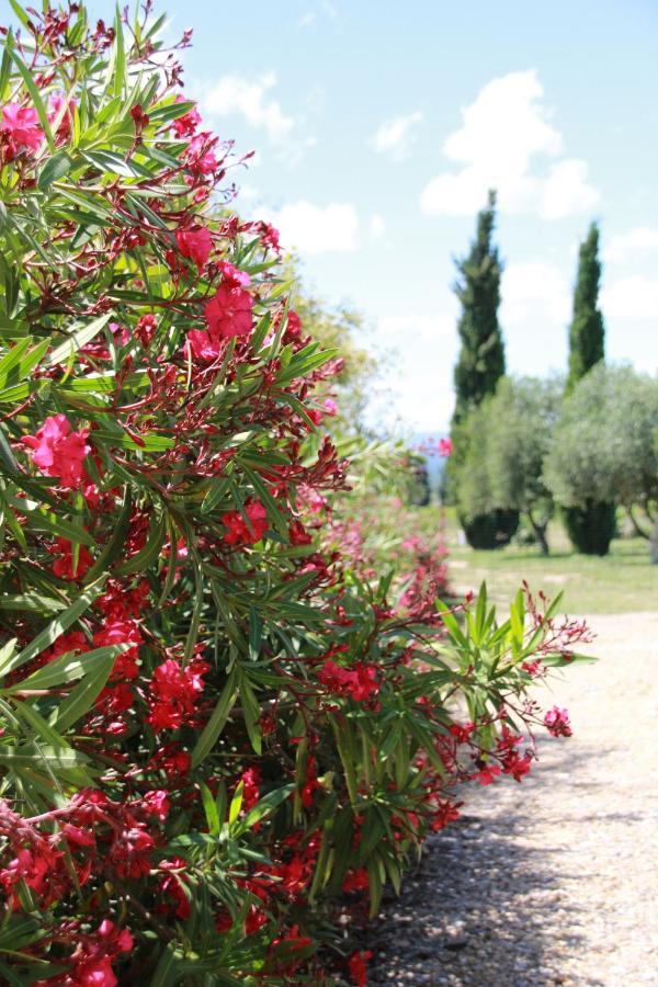 Villa Mas de la Frigoule à Le Pouget Extérieur photo